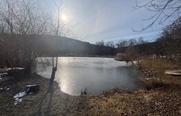 Casa de vacanta, cu 3 camere, 80 mp+teren 23000 mp, Comuna Matei, Bistrita