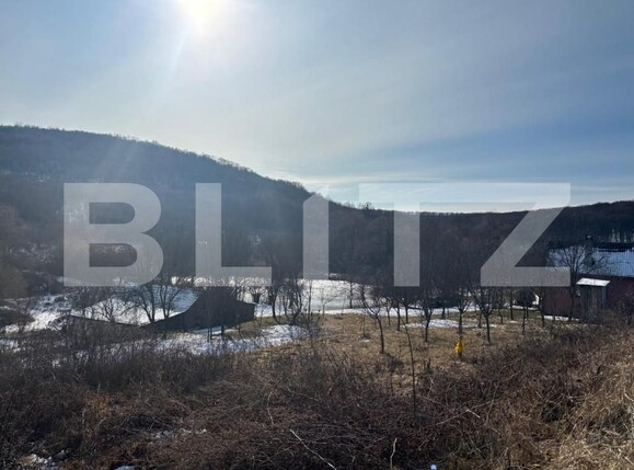 Casa de vânzare 3 camere Nord-Est - 165408CV | BLITZ Bistriţa | Poza10