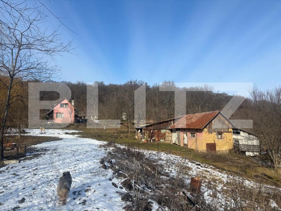 Casa de vânzare 3 camere Nord-Est - 165408CV | BLITZ Bistriţa | Poza3