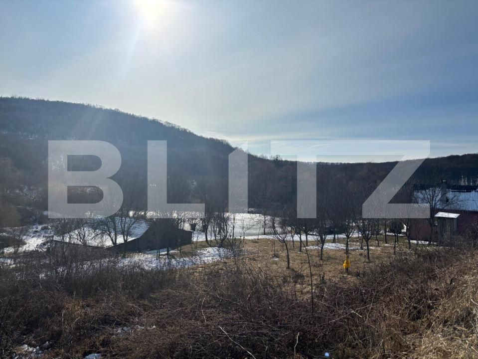 Casa de vânzare 3 camere Nord-Est - 165408CV | BLITZ Bistriţa | Poza10