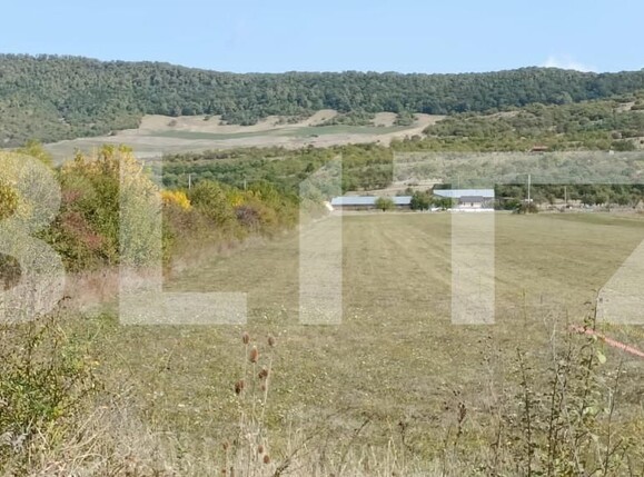 Teren de vânzare Exterior Sud - 165444TV | BLITZ Bistriţa | Poza1