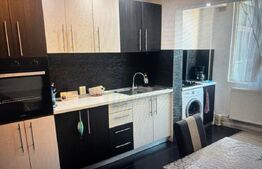 Apartament de inchiriat, 2 camere, 55 mp, etaj 2, zona Independentei