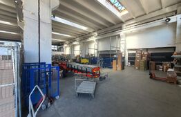 Hala si cladire de birouri,  1779mp utili si 45 arii de teren, Bistrita