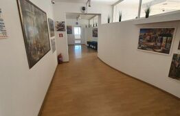 Hala si cladire de birouri,  1779mp utili si 45 arii de teren, Bistrita