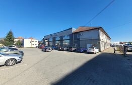 Hala si cladire de birouri,  1779mp utili si 45 arii de teren, Bistrita