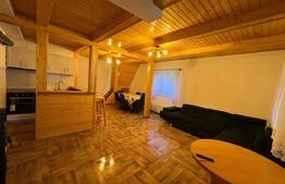 Cabana cu vedere la lac, 1800 mp teren, la Colibita -sau schimb! 