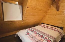 Cabana cu vedere la lac, 1800 mp teren, la Colibita -sau schimb! 