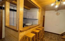 Cabana cu vedere la lac, 1800 mp teren, la Colibita -sau schimb! 