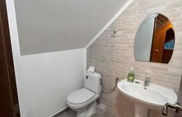 Cabana cu vedere la lac, 1800 mp teren, la Colibita -sau schimb! 