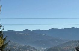 Cabana cu vedere la lac, 1800 mp teren, la Colibita -sau schimb! 