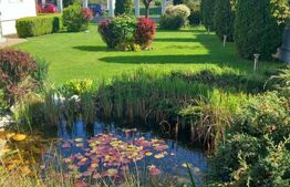 Casa individuala, cu 6 camere, 260 mp+1000 mp teren, zona Unirea (Diana)