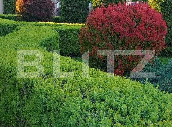 Casa de vânzare 5 camere Unirea - 166152CV | BLITZ Bistriţa | Poza9