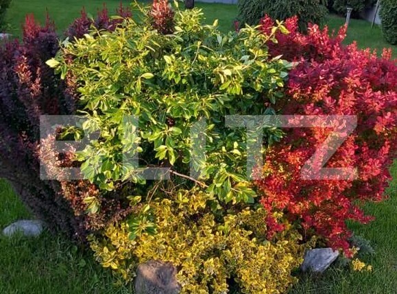 Casa de vânzare 5 camere Unirea - 166152CV | BLITZ Bistriţa | Poza8