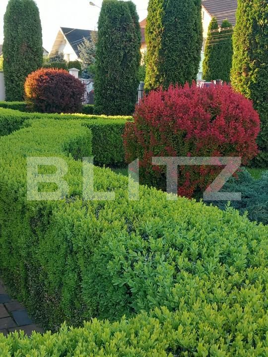 Casa de vânzare 5 camere Unirea - 166152CV | BLITZ Bistriţa | Poza9