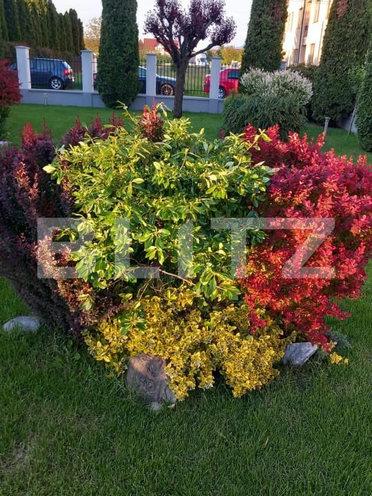 Casa de vânzare 5 camere Unirea - 166152CV | BLITZ Bistriţa | Poza8