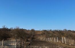 🏡Casa de vanzare, cu 5 camere, 200 mp, Livezile