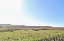 27 Ha de Teren Ideal pentru Agricultură sau Parc Fotovoltaic.Zona LECHINTA