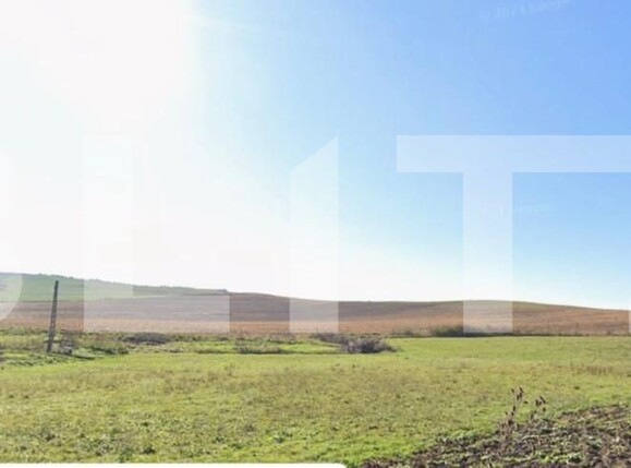 Teren de vânzare Sud - 166299TV | BLITZ Bistriţa | Poza1