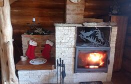 Casuta cocheta de vacanta la Colibita