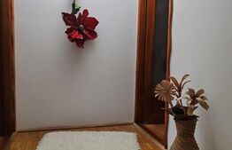 Casuta cocheta de vacanta la Colibita