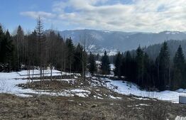 Teren intravilan de vanzare, 15 ari, zona COLIBITA