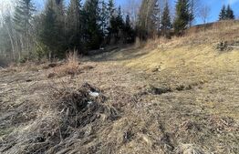 Teren intravilan de vanzare, 15 ari, zona COLIBITA