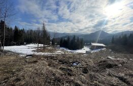 Teren intravilan de vanzare, 15 ari, zona COLIBITA