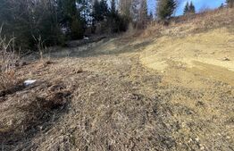 Teren intravilan de vanzare, 15 ari, zona COLIBITA