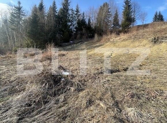 Teren de vânzare Exterior Nord - 166391TV | BLITZ Bistriţa | Poza2