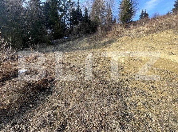 Teren de vânzare Exterior Nord - 166391TV | BLITZ Bistriţa | Poza3