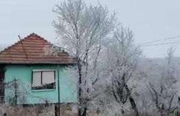 Casa cu 2 camere, 60 mpsi teren 7000 mp, la 40 km de Bistrita