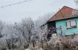 Casa cu 2 camere, 60 mpsi teren 7000 mp, la 40 km de Bistrita