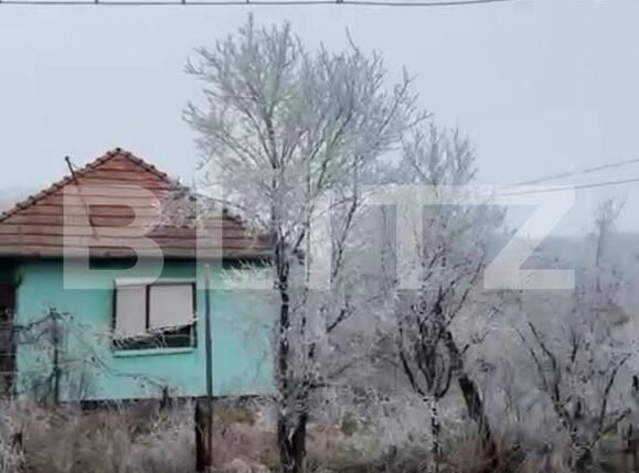 Casa de vânzare 2 camere Exterior Sud - 166398CV | BLITZ Bistriţa | Poza3