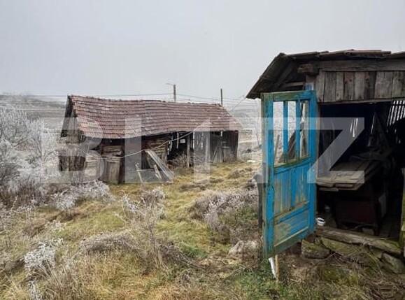 Casa de vânzare 2 camere Exterior Sud - 166398CV | BLITZ Bistriţa | Poza2