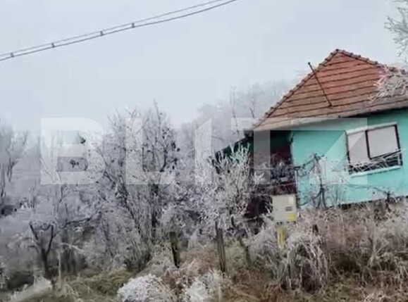 Casa de vânzare 2 camere Exterior Sud - 166398CV | BLITZ Bistriţa | Poza1