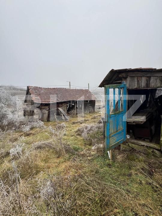 Casa de vânzare 2 camere Exterior Sud - 166398CV | BLITZ Bistriţa | Poza2