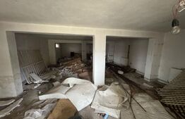 Casa cu 8 camere, 350 mp, 2200 mp teren, zona VIISOARA