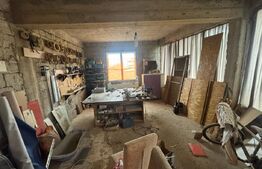 Casa cu 8 camere, 350 mp, 2200 mp teren, zona VIISOARA