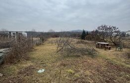 Casa cu 8 camere, 350 mp, 2200 mp teren, zona VIISOARA