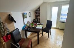 Casa cu 8 camere, 350 mp, 2200 mp teren, zona VIISOARA