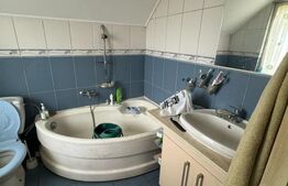 Casa cu 8 camere, 350 mp, 2200 mp teren, zona VIISOARA