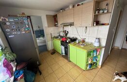 Casa cu 8 camere, 350 mp, 2200 mp teren, zona VIISOARA