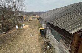 Casa cu 8 camere, 350 mp, 2200 mp teren, zona VIISOARA