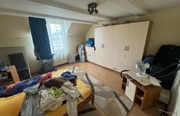 Casa cu 8 camere, 350 mp, 2200 mp teren, zona VIISOARA