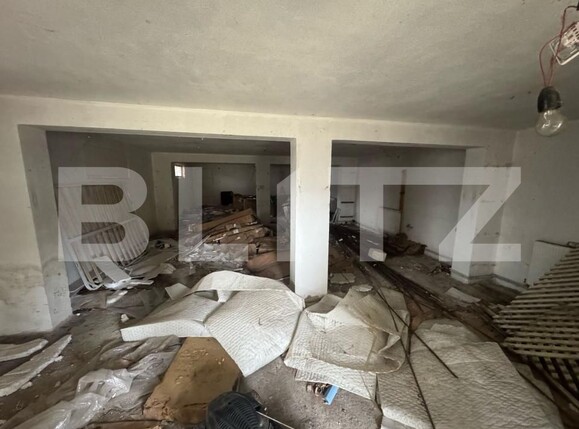 Casa de vânzare 8 camere Viișoara - 166402CV | BLITZ Bistriţa | Poza12