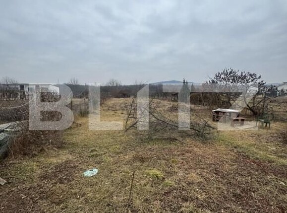 Casa de vânzare 8 camere Viișoara - 166402CV | BLITZ Bistriţa | Poza10