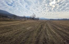 Teren extravilan de vanzare, 72 de arii, zona Șieu Măgheruș