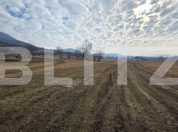 Teren de vânzare Exterior Vest - 166515TV | BLITZ Bistriţa | Poza2