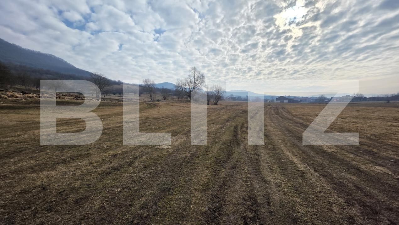 Teren de vânzare Exterior Vest - 166515TV | BLITZ Bistriţa | Poza2