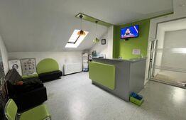 Cabinet stomatologic de inchiriat, 15 mp, zona Centrala